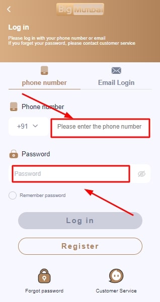 Enter login details